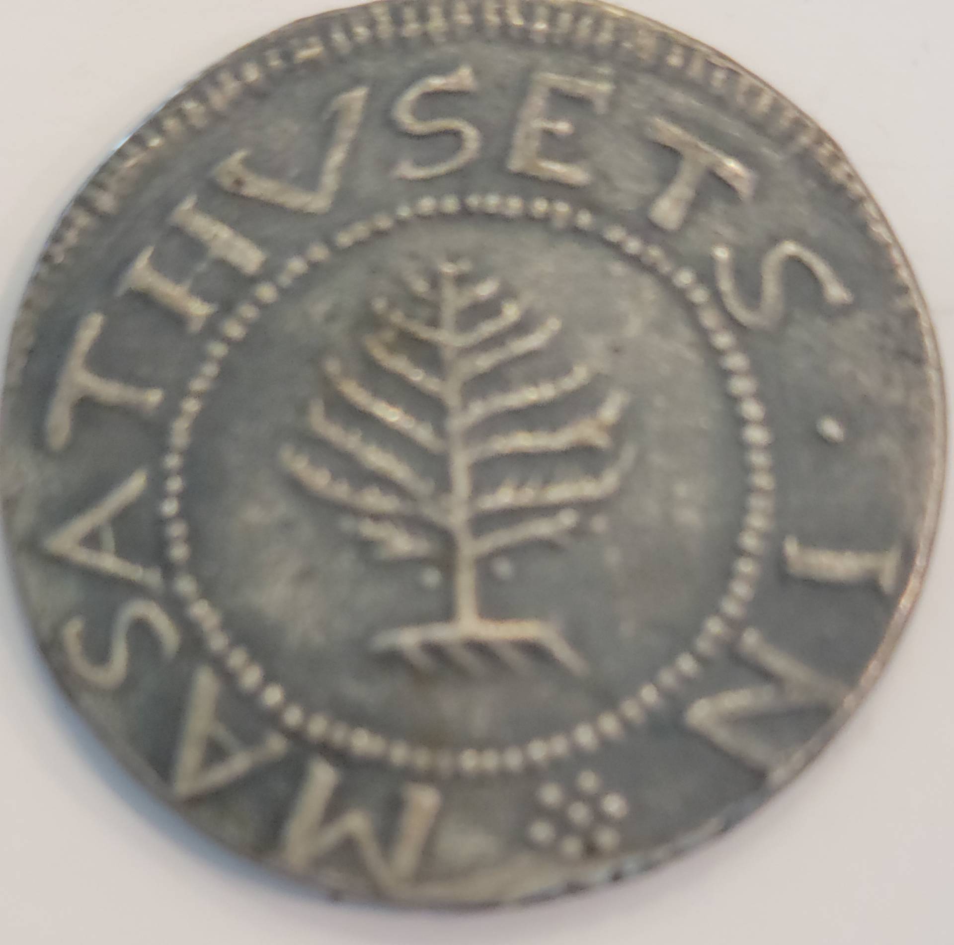 Pine-Tree-Shilling,-Real-Or-Fake?